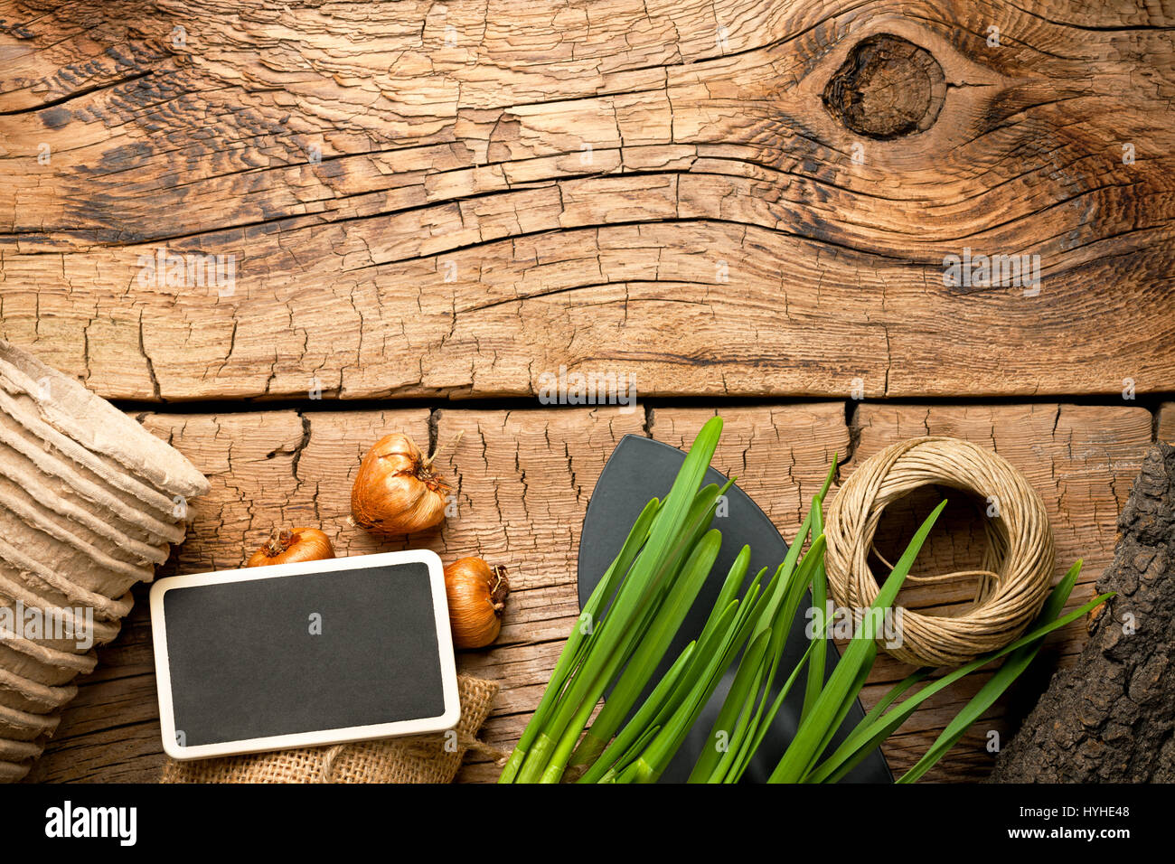 Gardening tools with twine and bulbs on wood background. Top view Stock Photo