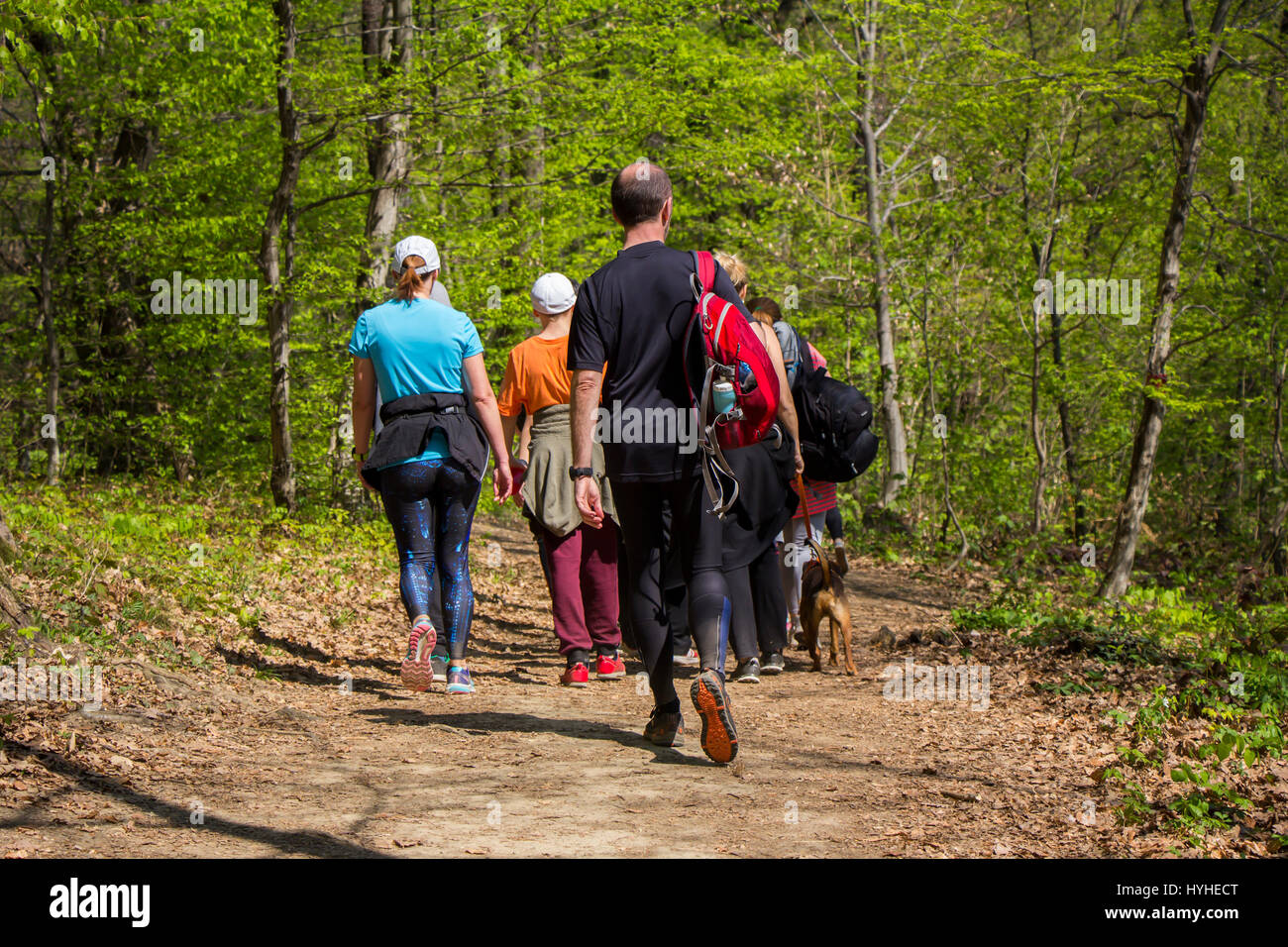 Group of people walking by hiking trail Stock Photo Alamy