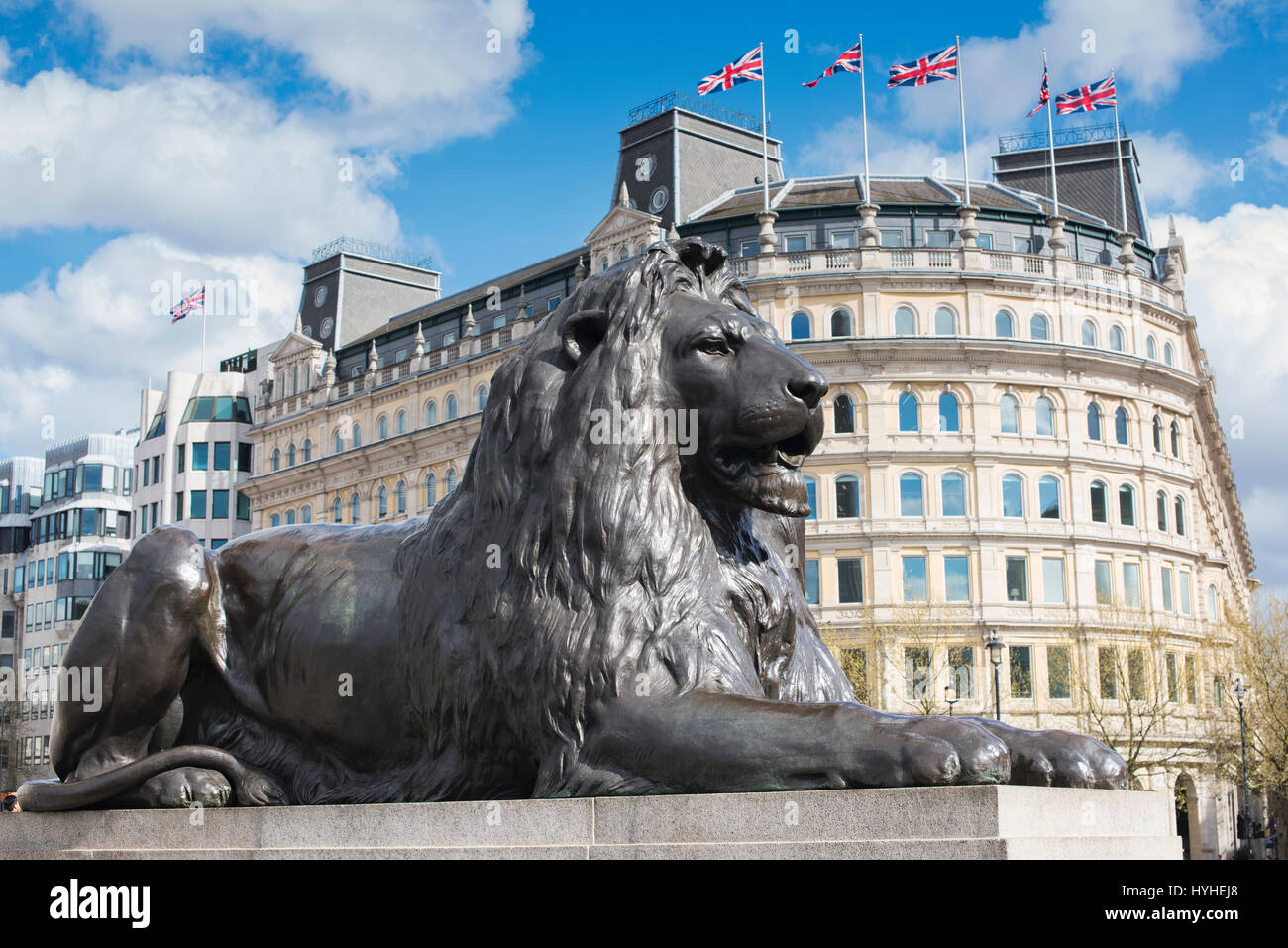 Landseer Lions. Trafalgar Square Lions surrounding Nelson's Column, City of Westminster, London, England Stock Photo