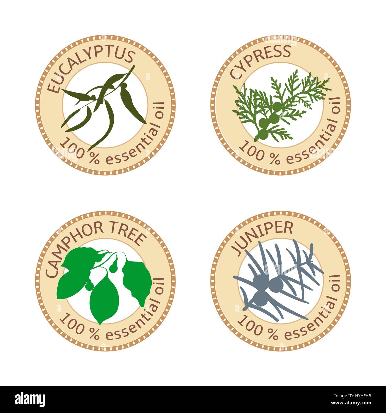 Set of flat essential oil labels. 100 percent. Eucalyptus, cypress, camphor tree, juniper Stock Vector