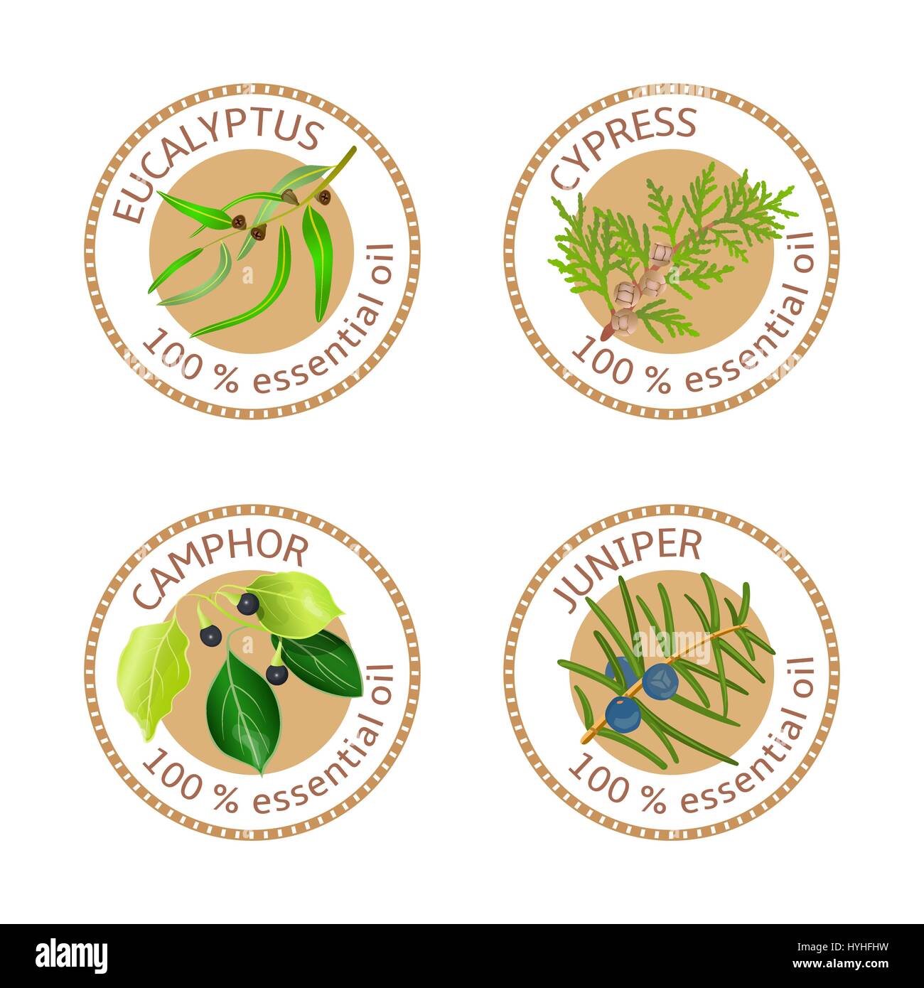 Set of essential oils labels. Eucalyptus, cypress, camphor, juniper Stock Vector