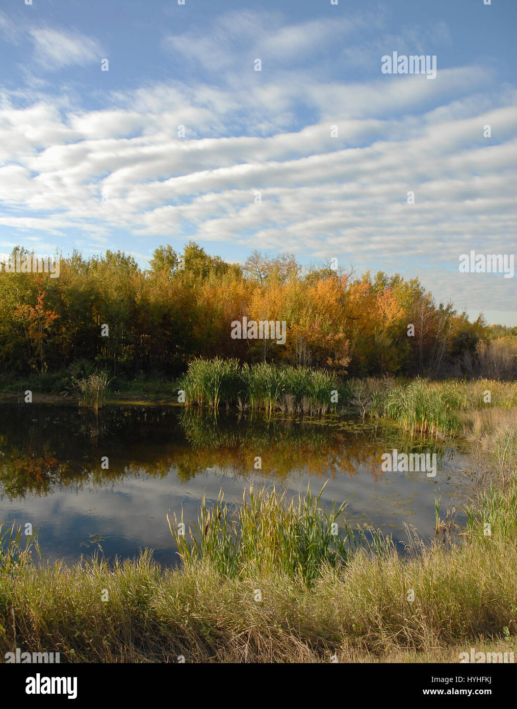 Fall colors, Canada Stock Photo Alamy