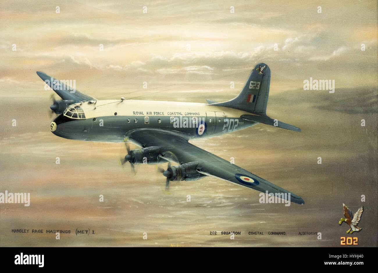 Painting of Handley Page Hastings HP.67 MET Mk1 weather reconnaissance aircraft operated by Royal Air Force 202 Squadron Coastal Command, Aldergrove Stock Photo