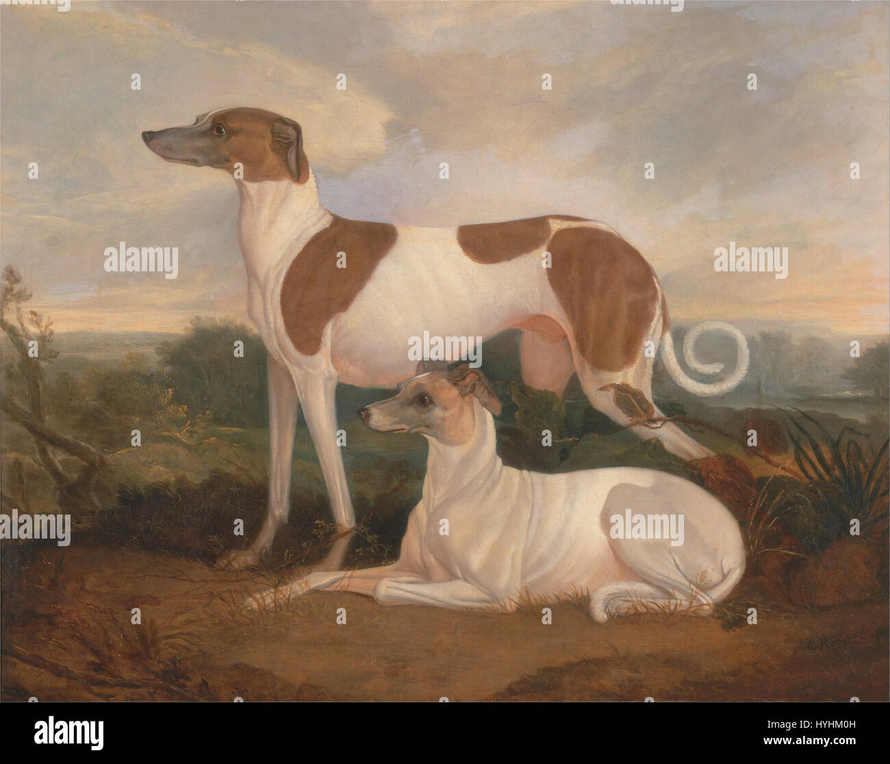 Charles Hancock   Two Greyhounds in a Landscape   Google Art Project Stock Photo
