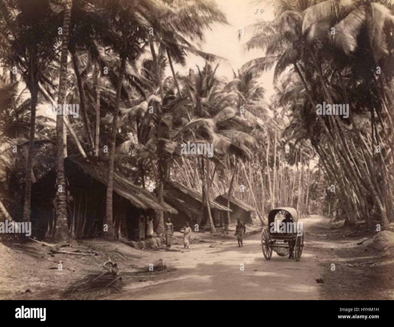 Charles T Scowen Landscape in Ceylon 1870s Stock Photo