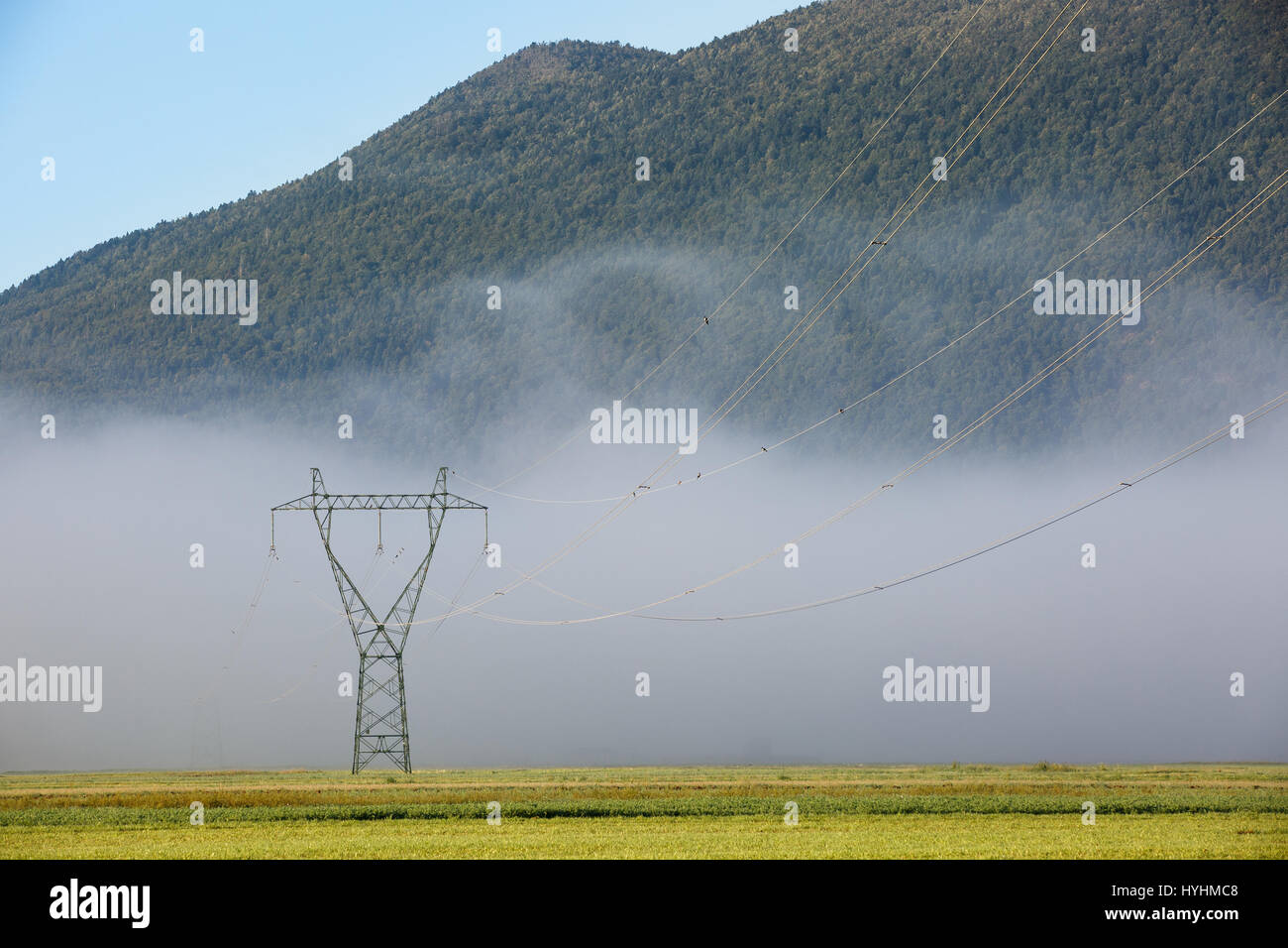 Big electricity high voltage pylon with power lines on a green grass in ...