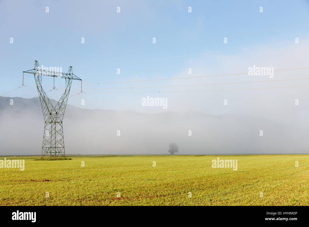Big electricity high voltage pylon with power lines on a green grass in ...