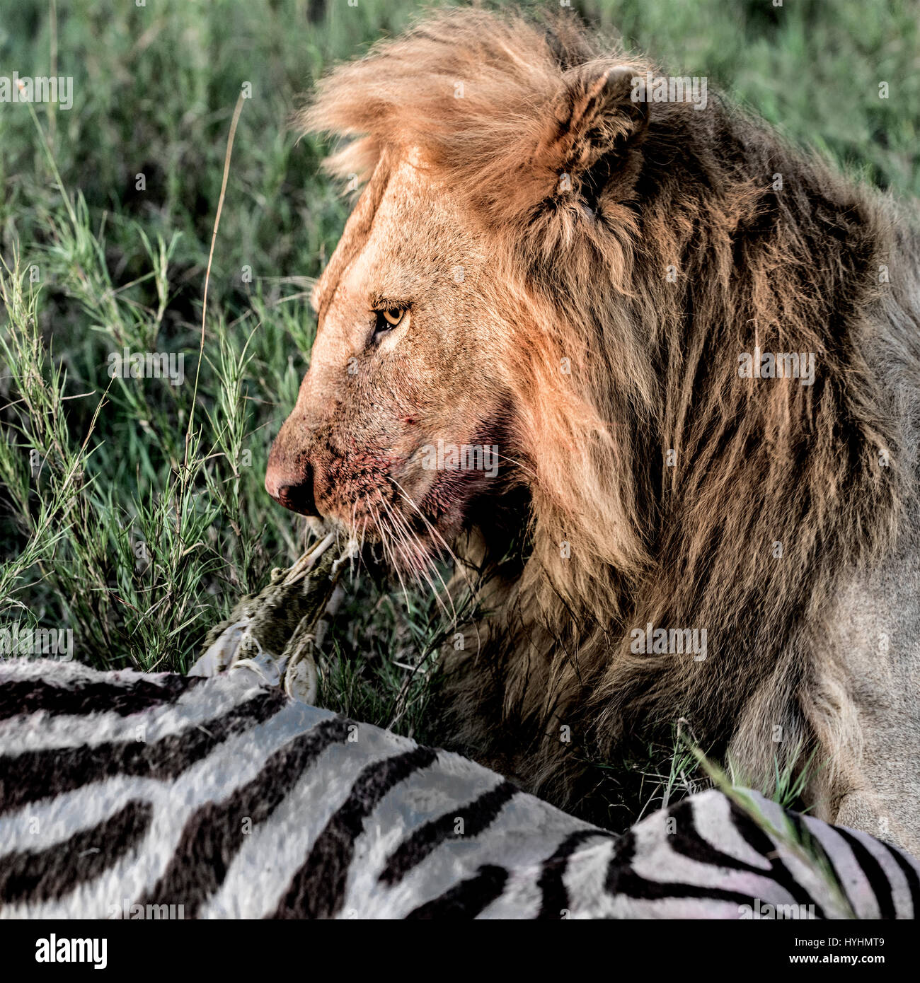 My Image 5
