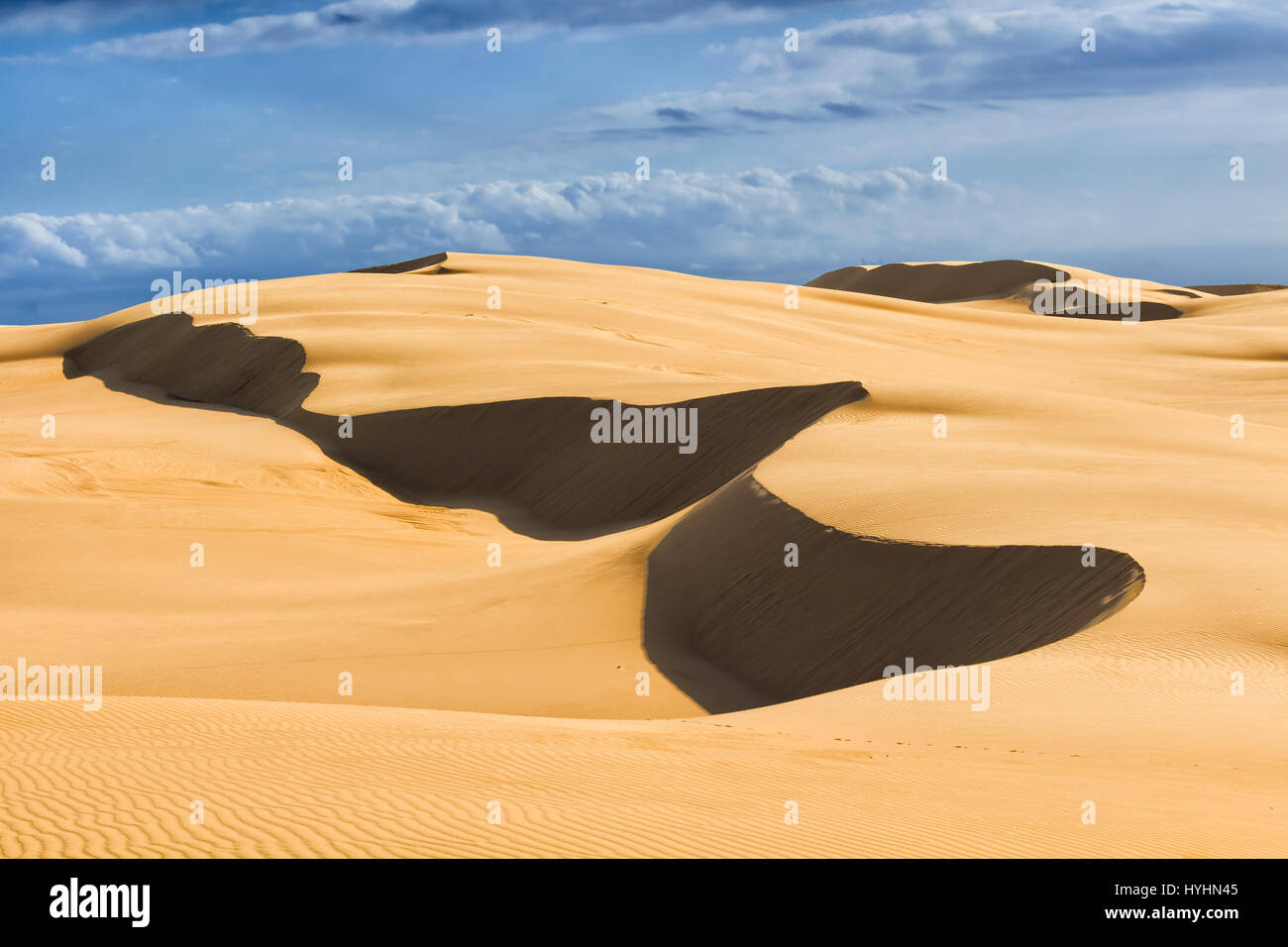 Remote sand dunes on a sunny summer day with untouched sand surface formed by strong winds near Stockton beach, NSW, Australia. Stock Photo