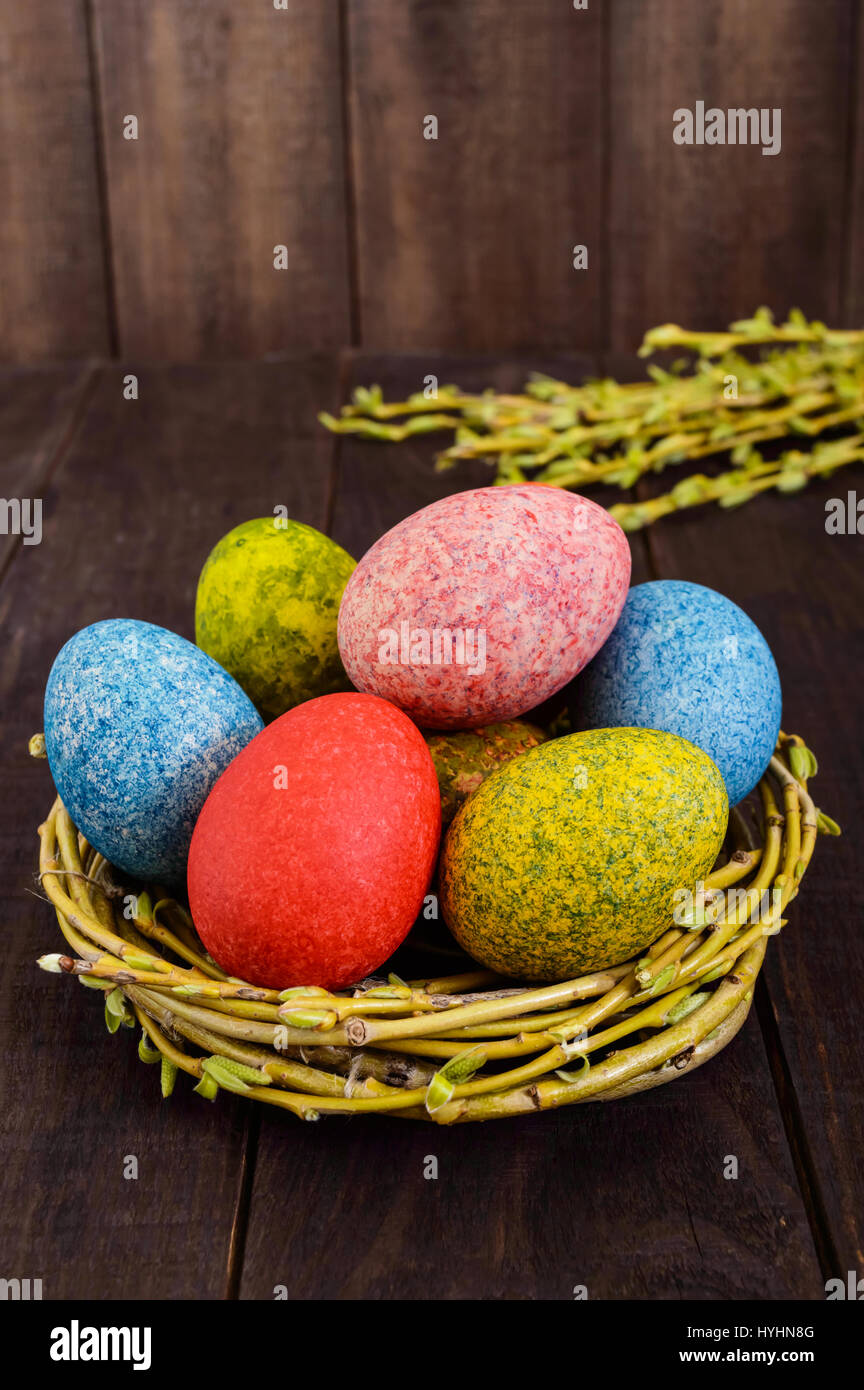 Colorful painted eggs in a nest of twigs of willow on a dark wooden ...
