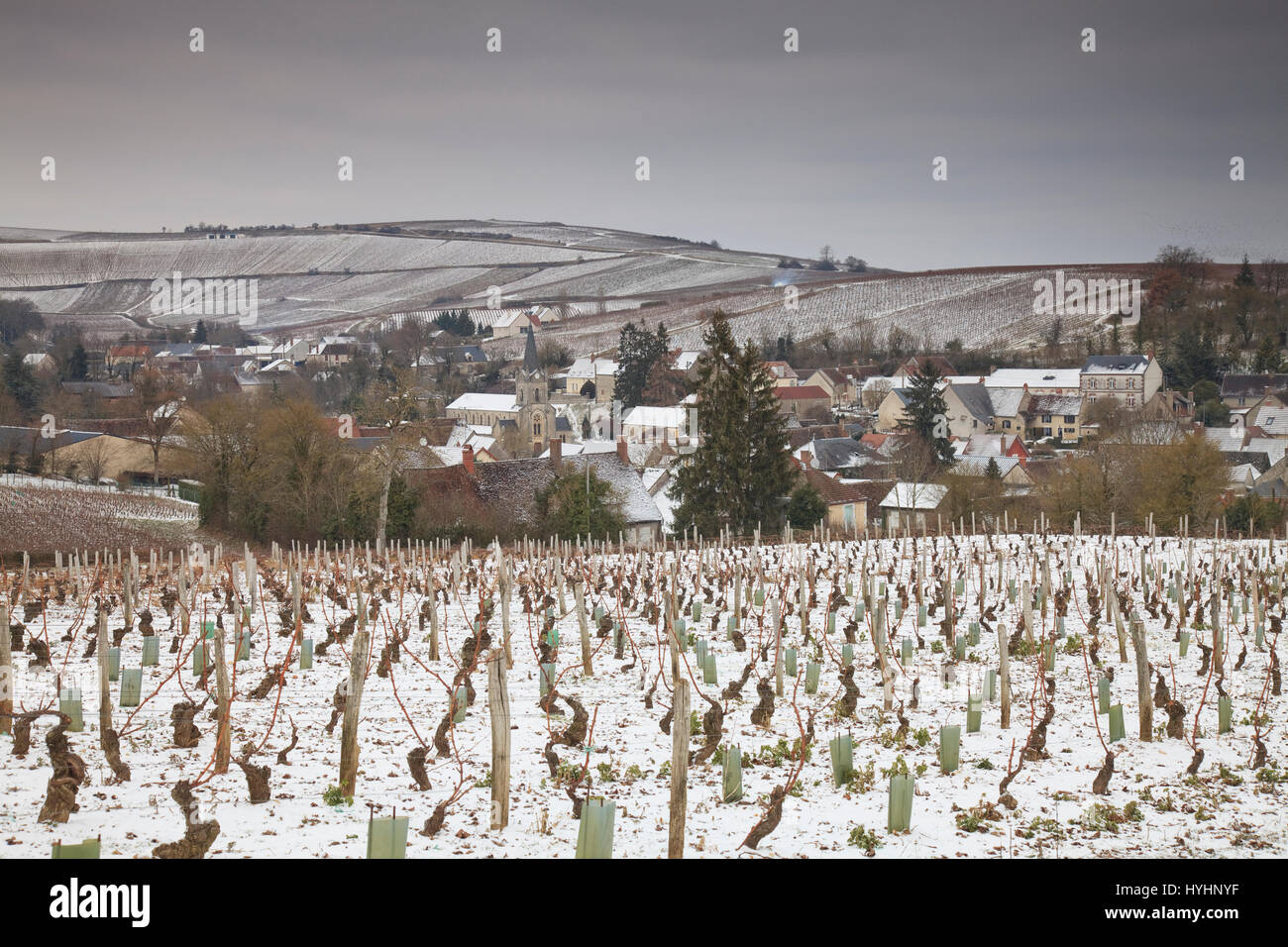 France, Cher, Sancerre region, Bue, the village and its vineyards in winter under the snow Stock Photo