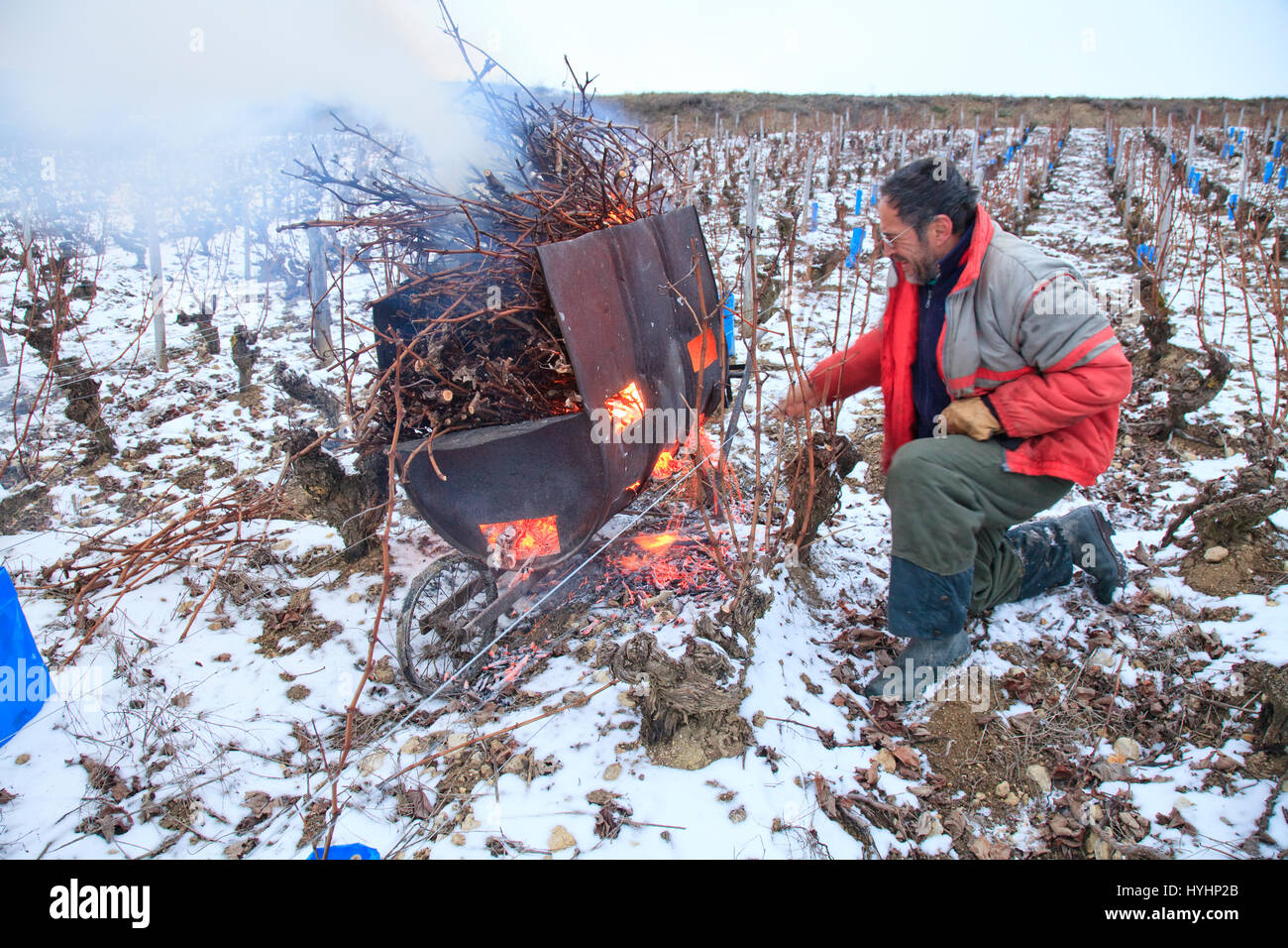 France, Cher (18) région du sancerrois, Chavignol, le vignoble de Sancerre en hiver et sous la neige, brûlage des sarments après la taille dans des br Stock Photo