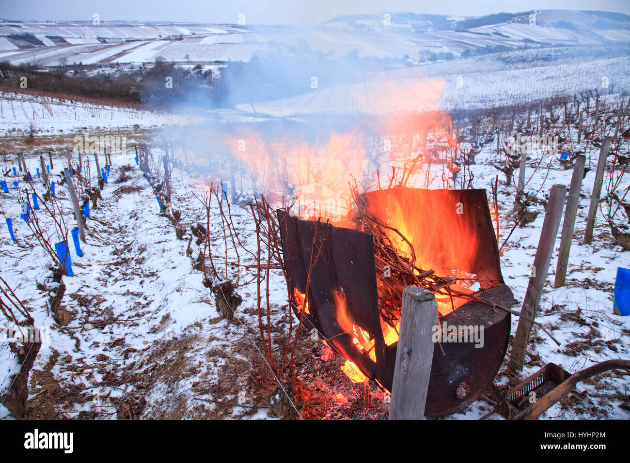 France, Cher, region of Sancerre, Chavignol, the vineyards of Sancerre in winter and snow, burning of branches after pruning in mobile brazier Stock Photo