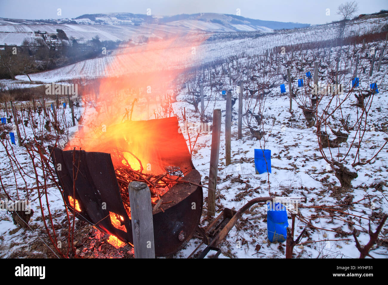 France, Cher, region of Sancerre, Chavignol, the vineyards of Sancerre in winter and snow, burning of branches after pruning in mobile brazier Stock Photo