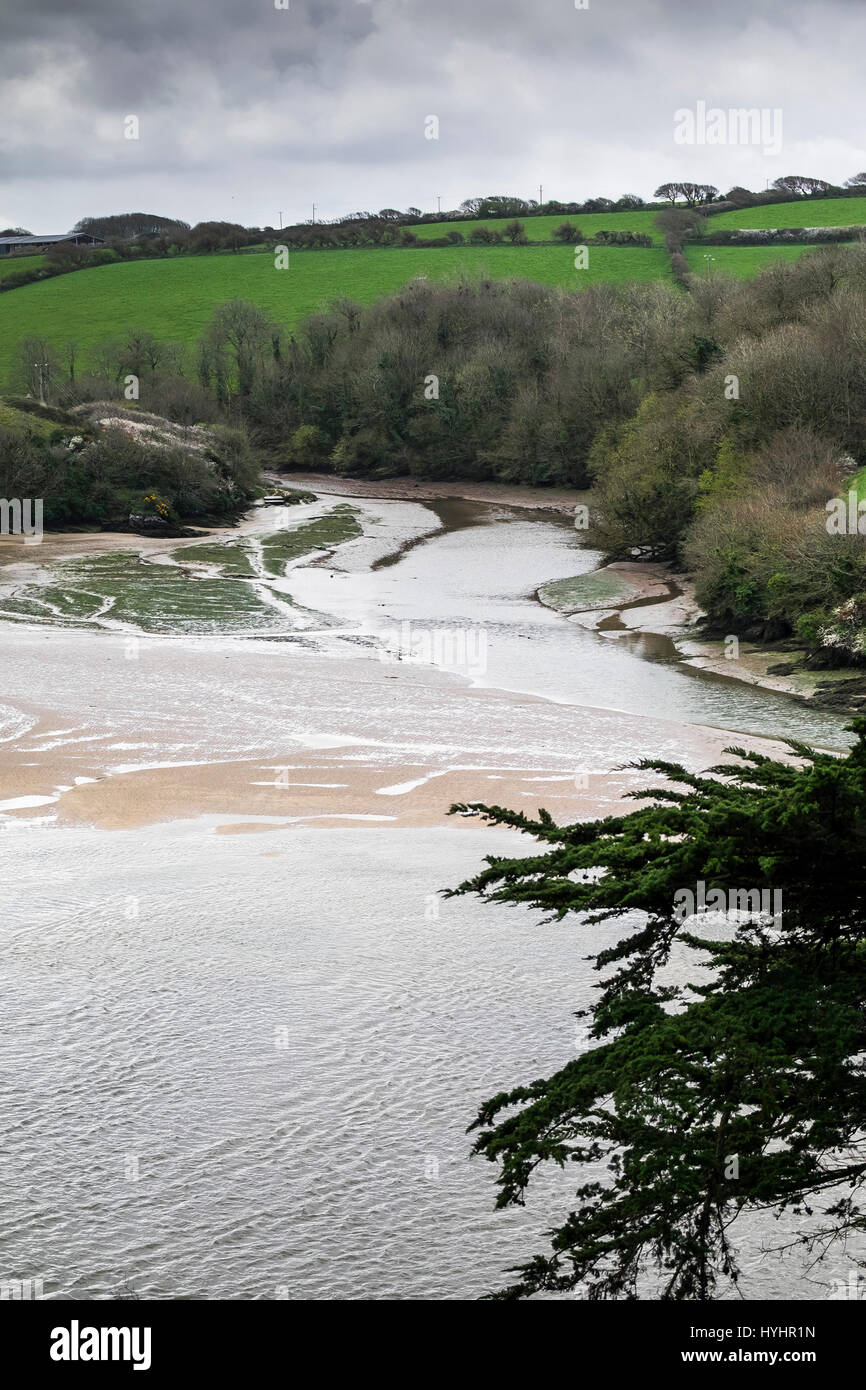 Pen Pol Creek Gannel Estuary Low tide Sand Coast Stock Photo