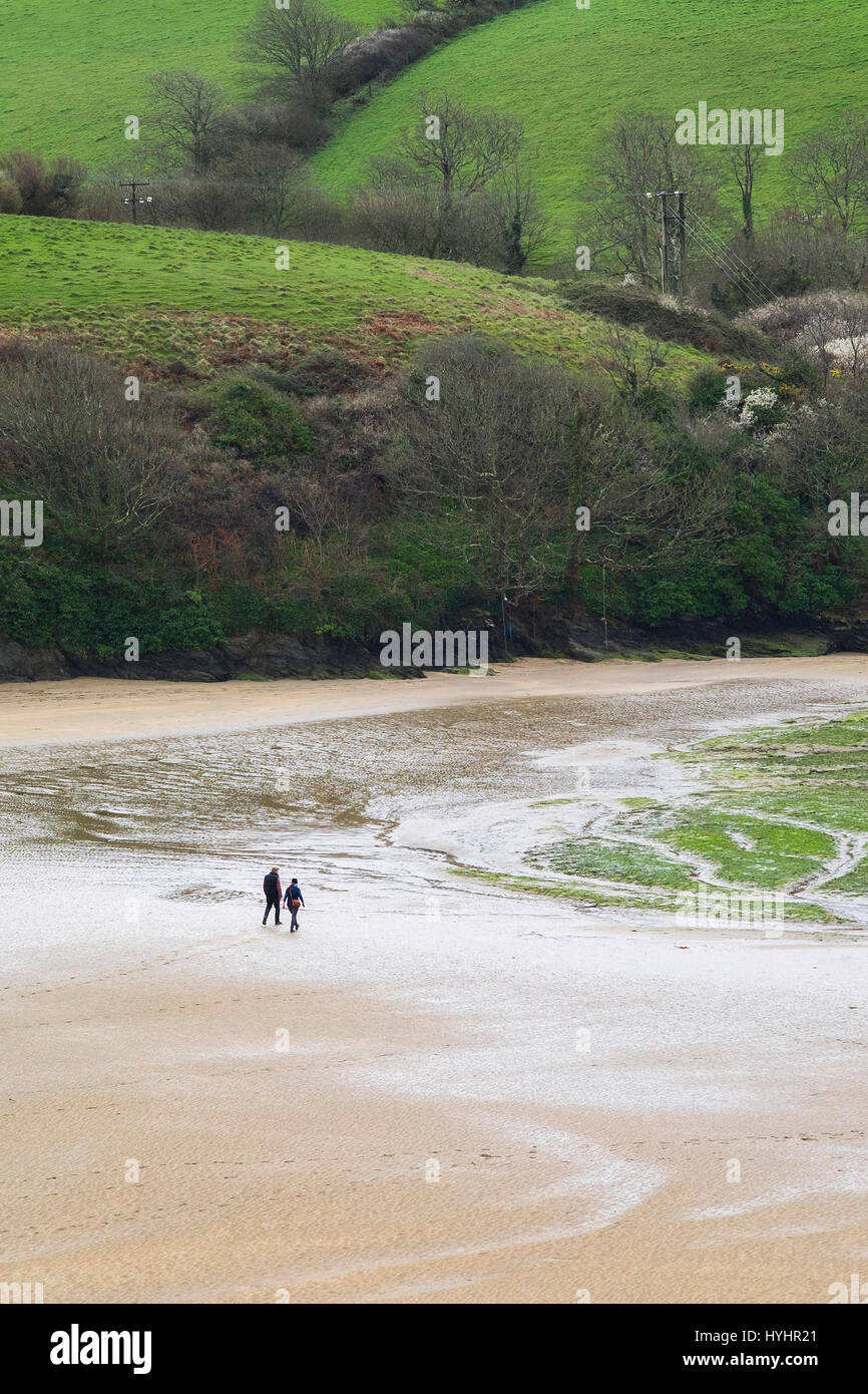 Two people walking Gannel Estuary at low tide. Cornwall. Stock Photo