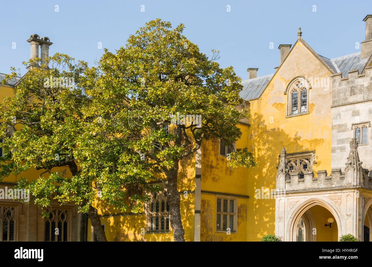 Spring at Ashton Court near Bristol Stock Photo Alamy