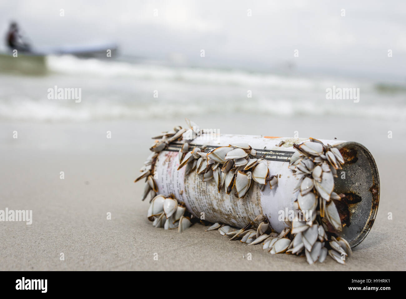 Mussels on a can symbol for enviromental pollution Stock Photo Alamy