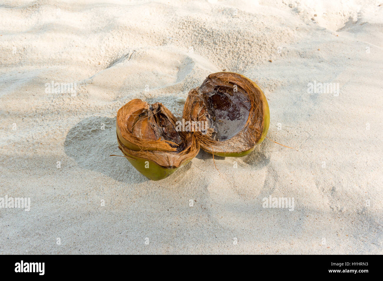 coconut on a sandy beach, divided into two halves, Koh Phangan, Thailand - May 5, 2016 Stock Photo