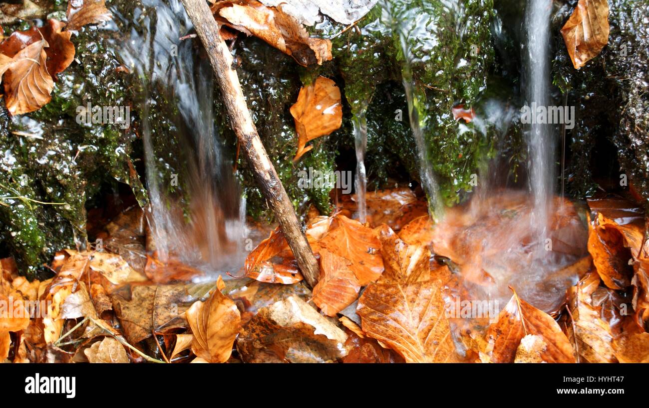 Springs in retezat national park hires stock photography and images