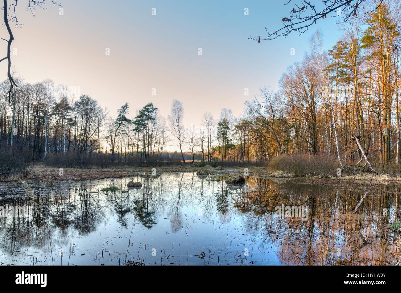 Spring nature landscape. Pond in the forest. Stock Photo