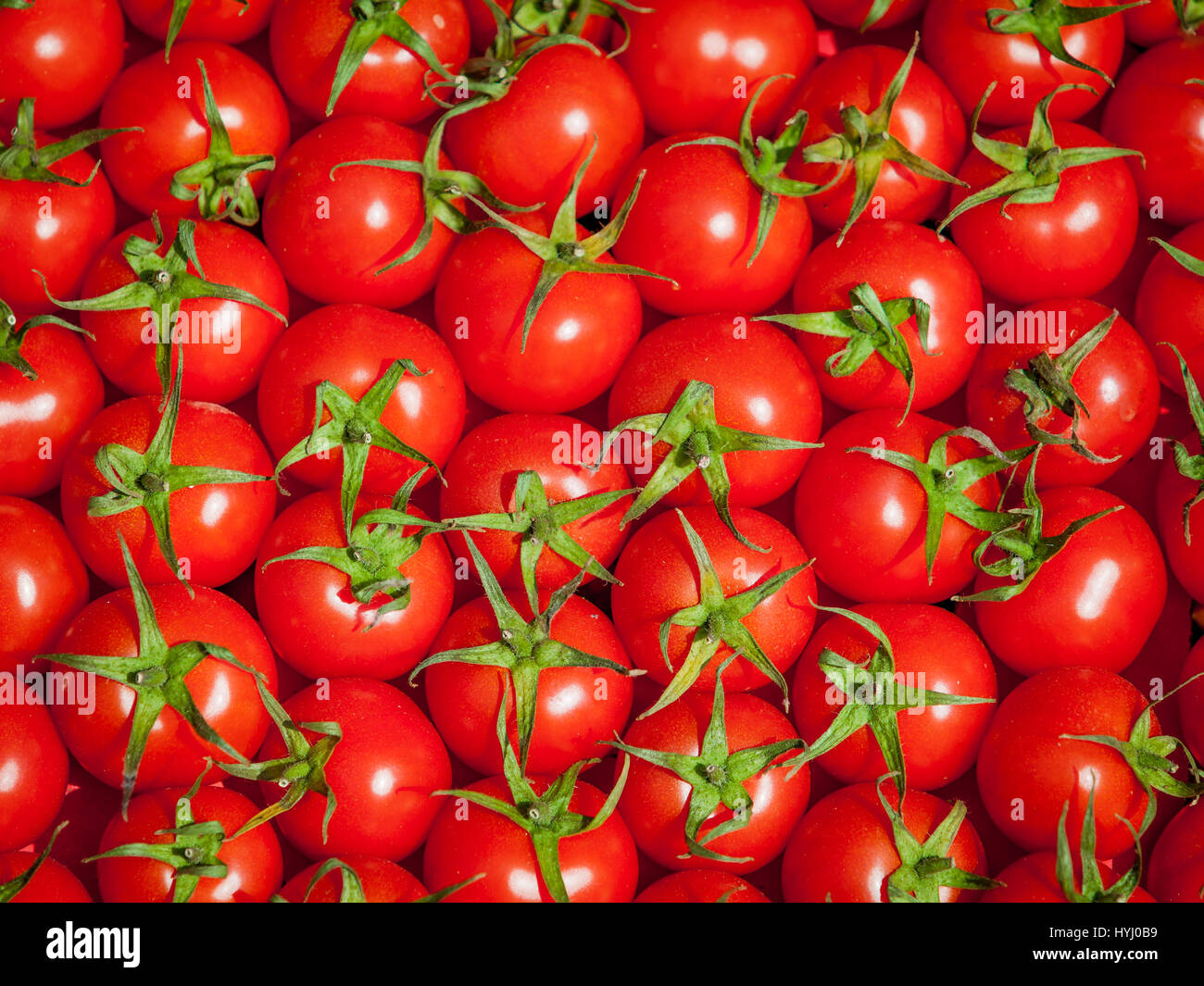 red tomatoes background. Group of tomatoes. tomato Stock Photo - Alamy
