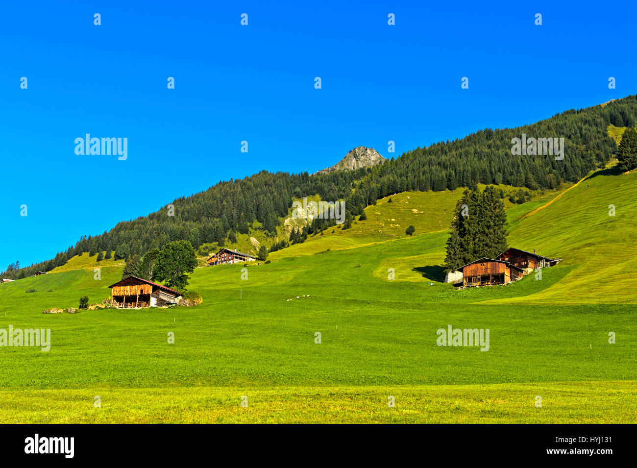 Alpine meadows with mountain farm and protection forest, Prättigau near St. Antönien, Canton of Grisons, Switzerland Stock Photo