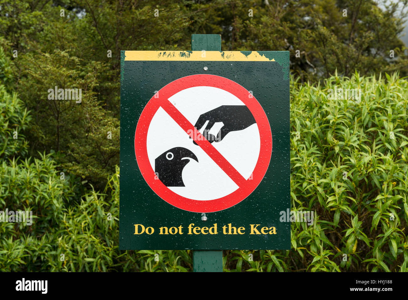 Sign forbidden to feed wild animal hires stock photography and images