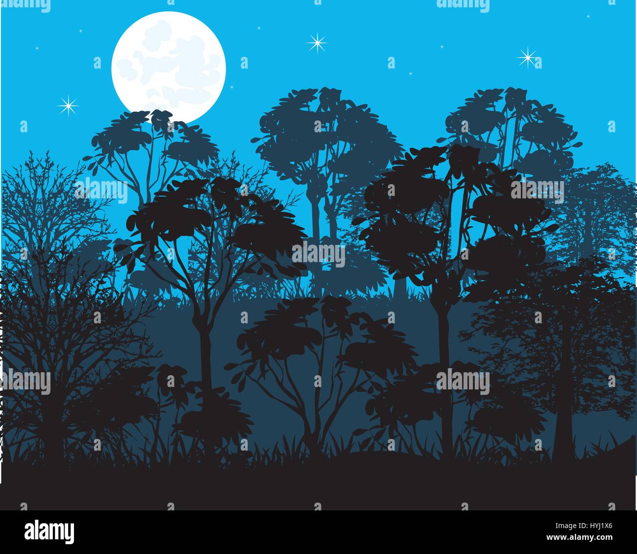 Night in wood Stock Vector Image & Art - Alamy