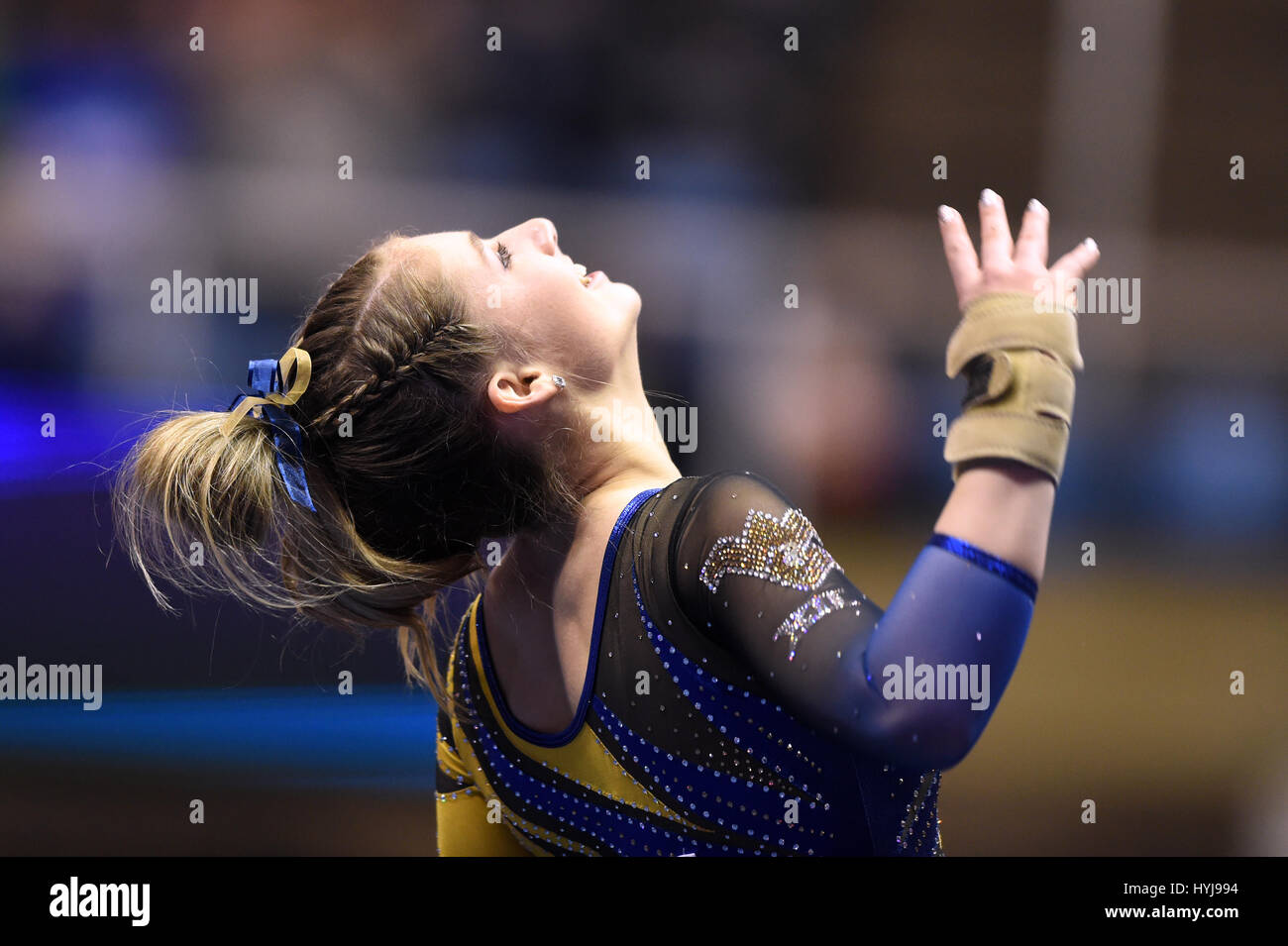 West Virginia, USA. 1st Apr, 2017. WVU gymnast ABBY KAUFMAN
