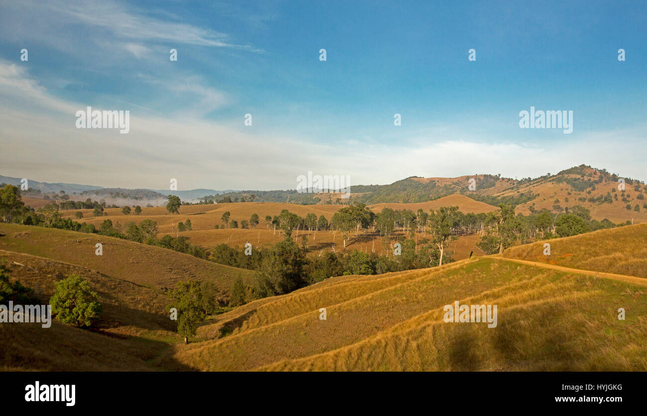 Vast rural landscape in winter with rolling hills with golden grasses, scattered trees, ranges on horizon under blue sky in northern NSW Australia Stock Photo