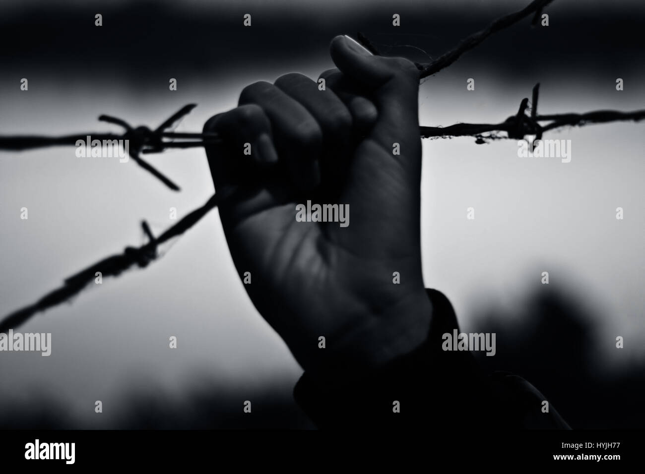 A man trying to damaged the barbed wire Stock Photo Alamy