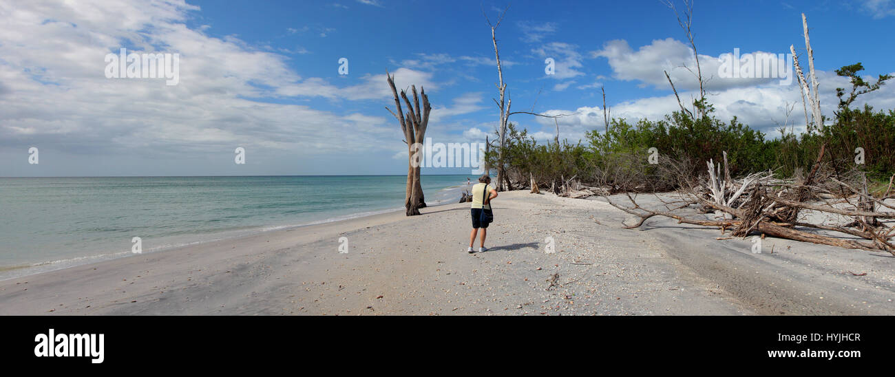 Beach view panorama at Stump Pass Beach State Park, Florida USA with woman looking for shells Stock Photo