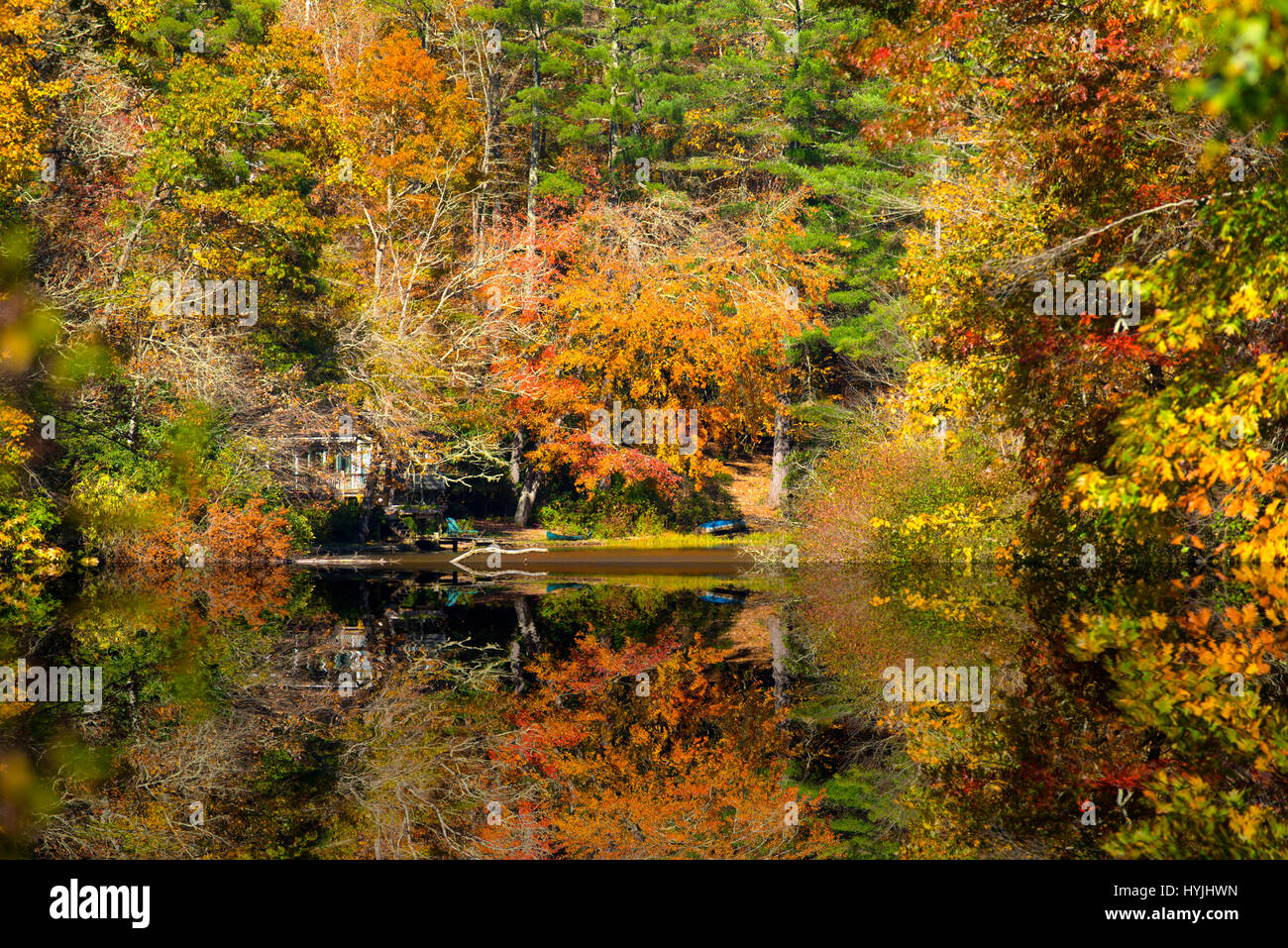 autumn trees color reflection in lake Stock Photo - Alamy