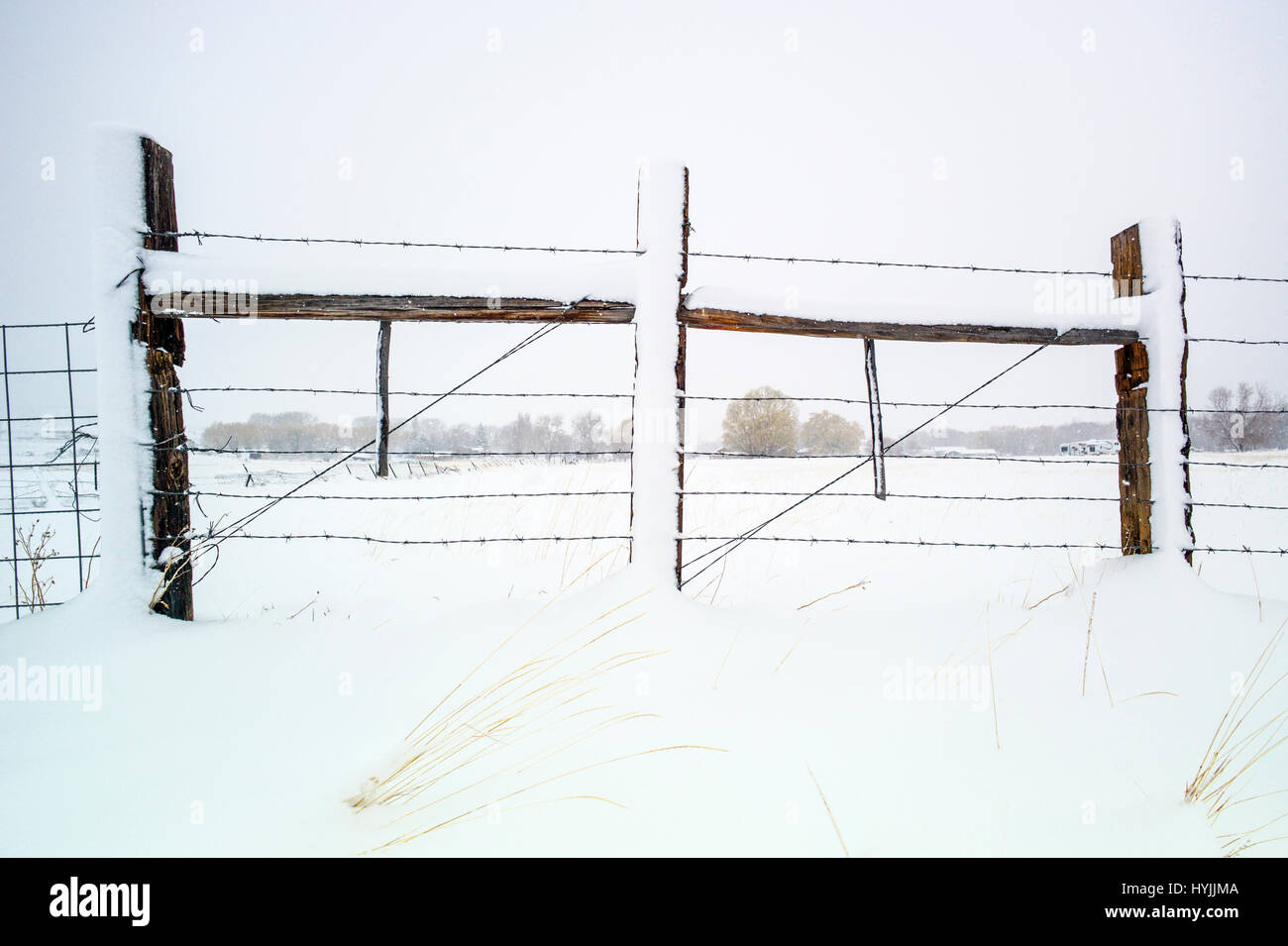 Barbed wire fence in fresh April snowstorm: Vandaveer Ranch; Salida; Colorado; USA Stock Photo