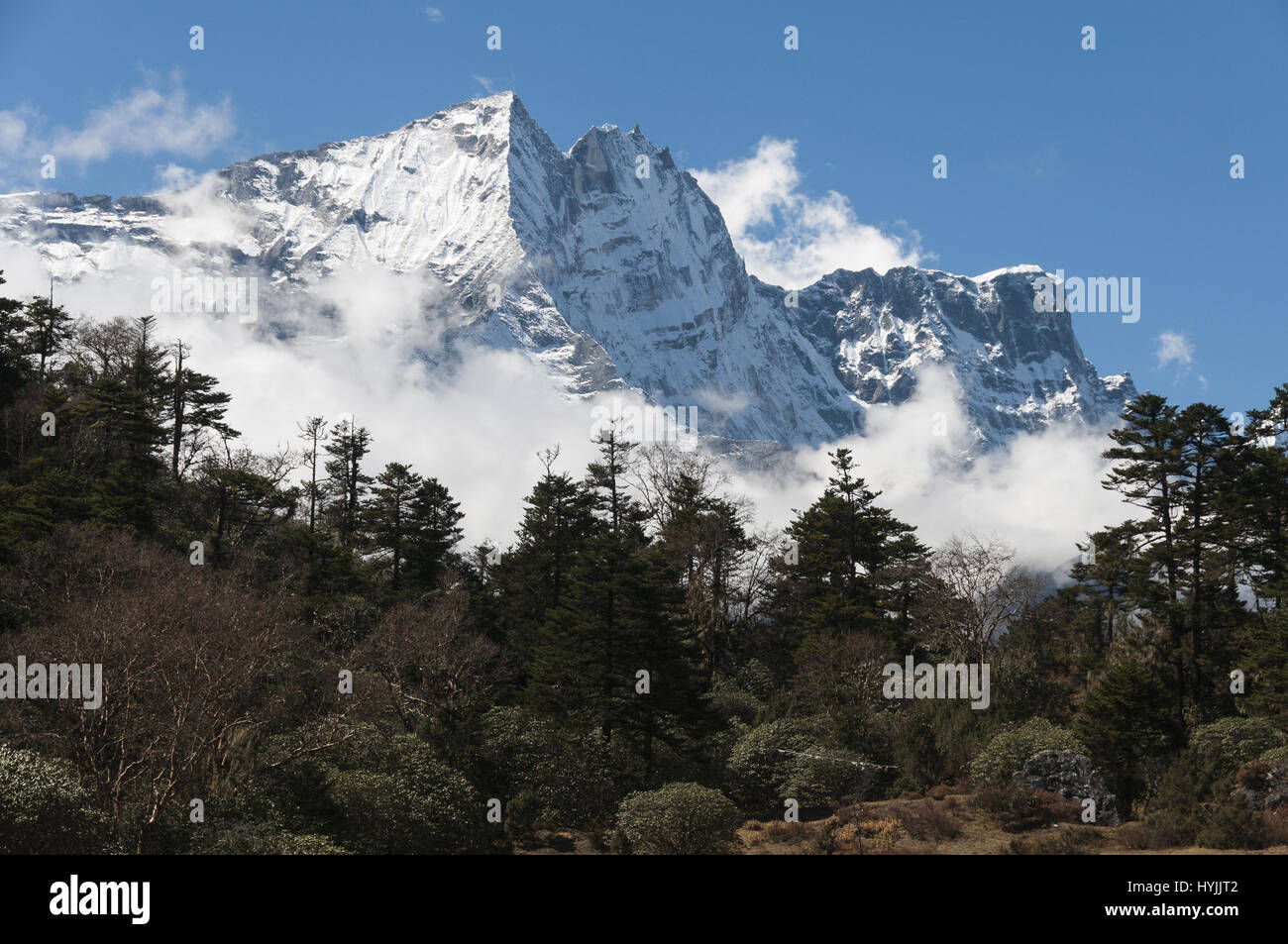 Kangaru Hi Res Stock Photography And Images Alamy