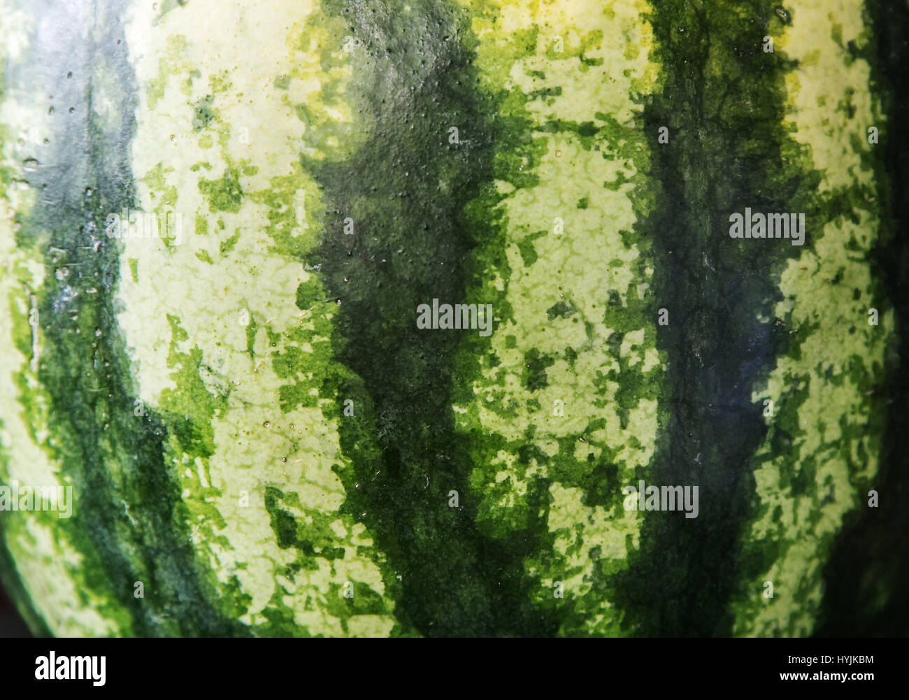 Closeup of a watermelon Stock Photo