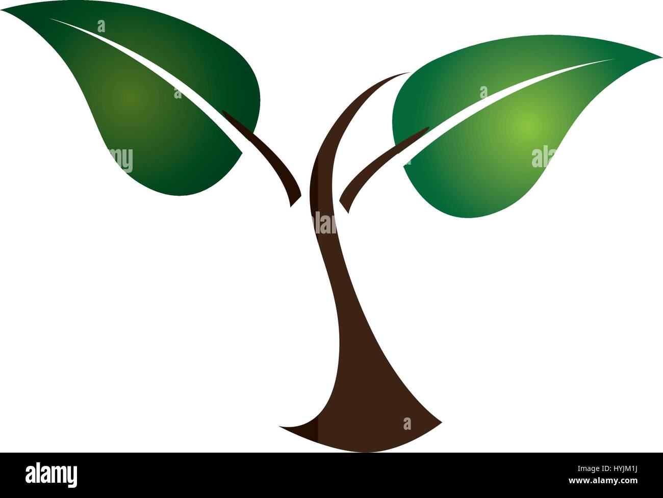 leafs plant isolated icon vector illustration design Stock Vector Image ...