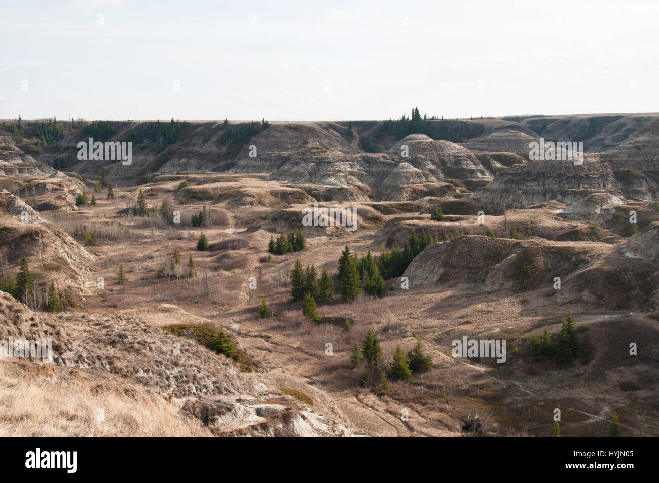 Horseshoe Canyon Alberta Stock Photo Alamy