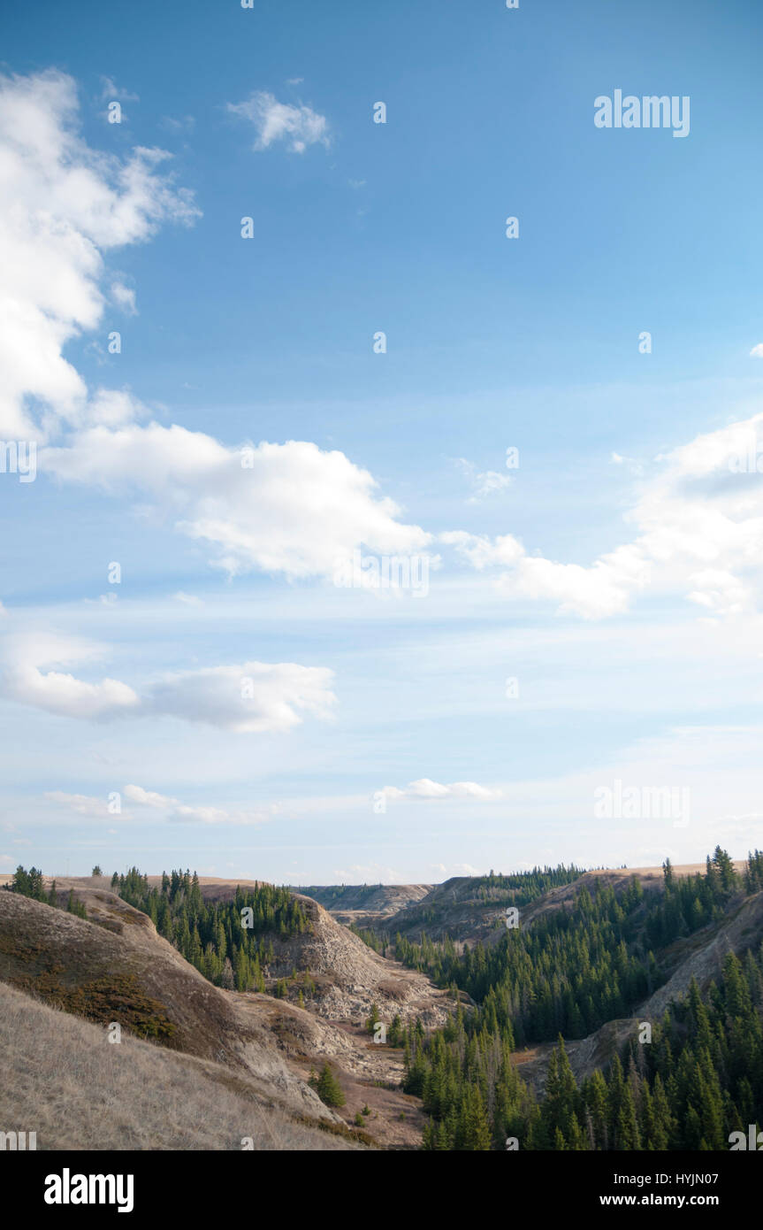 Horseshoe Canyon Alberta Stock Photo