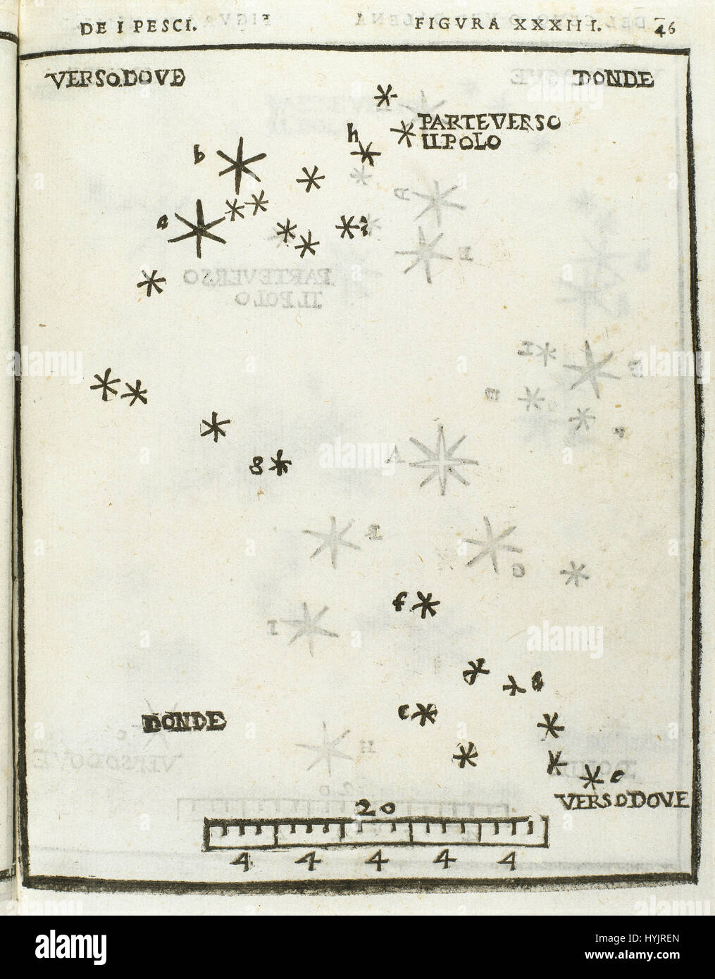 Pisces (Dei Pesci). Engraving depicting the structure of the constellation, 1559. Dele Stelle Fisse by Italian humanist Alessandro Piccolomini (1508-1579). Edited in Venice, 1540. Stock Photo