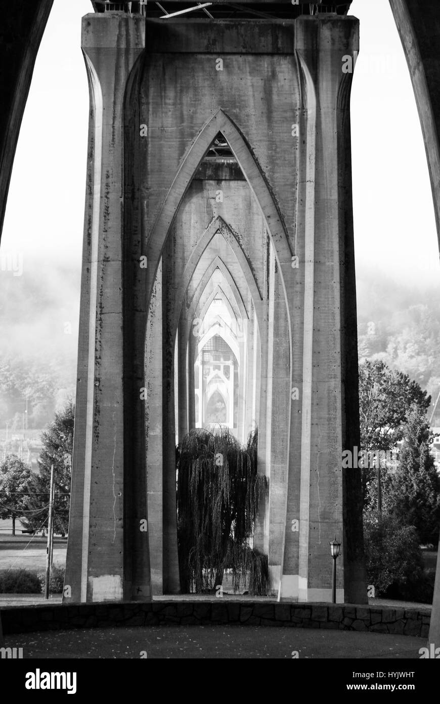 Underneath the St. John's Bridge in Portland, Oregon from Cathedral Park Stock Photo