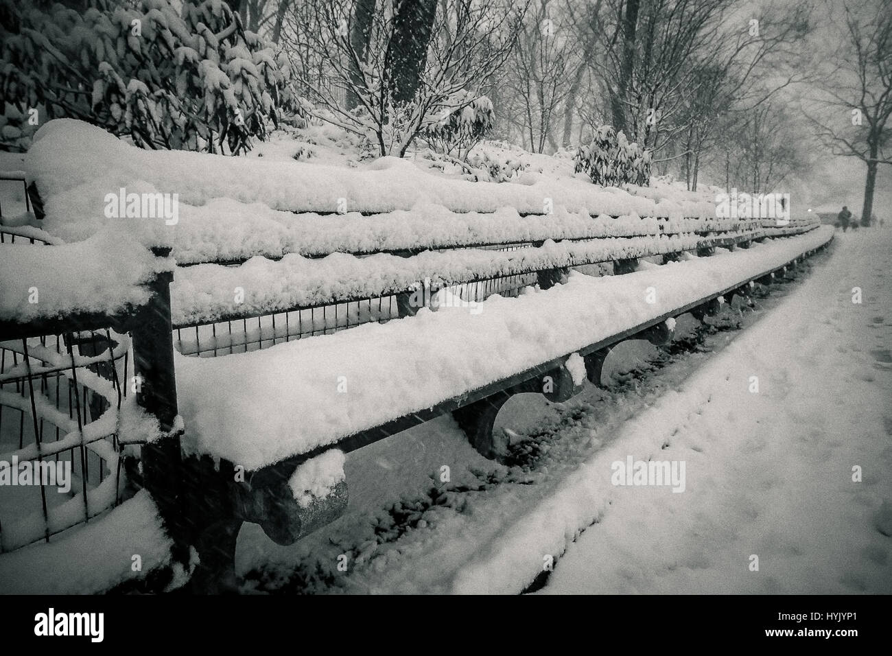 A long bench in Central Park is completely covered with snow during a heavy snowfall. Stock Photo