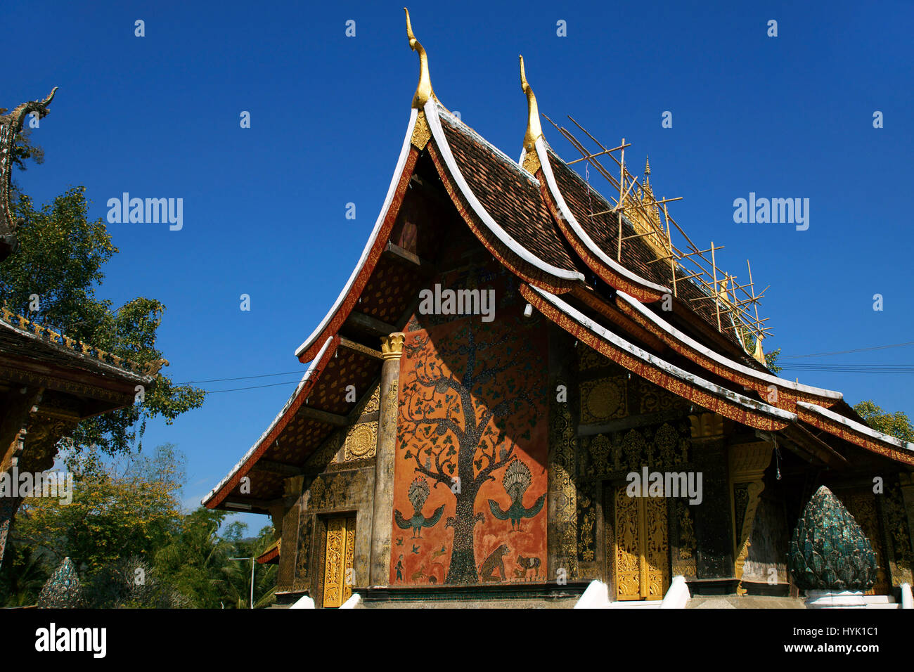 The Tree of Life at Wat Xieng Thong, Luang Prabang Stock Photo