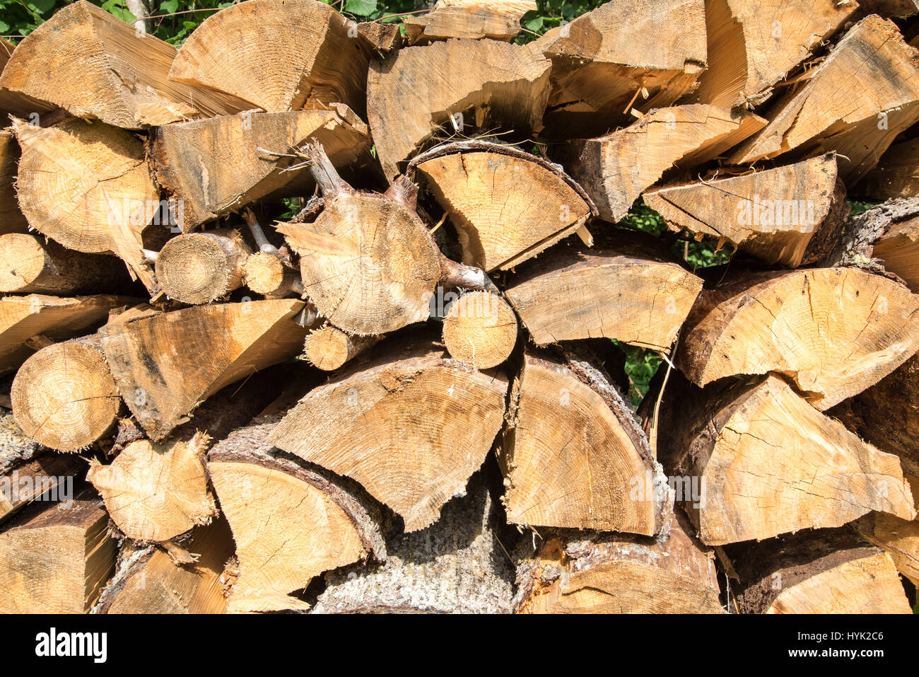 stacked firewood of spruce in the forest Stock Photo Alamy