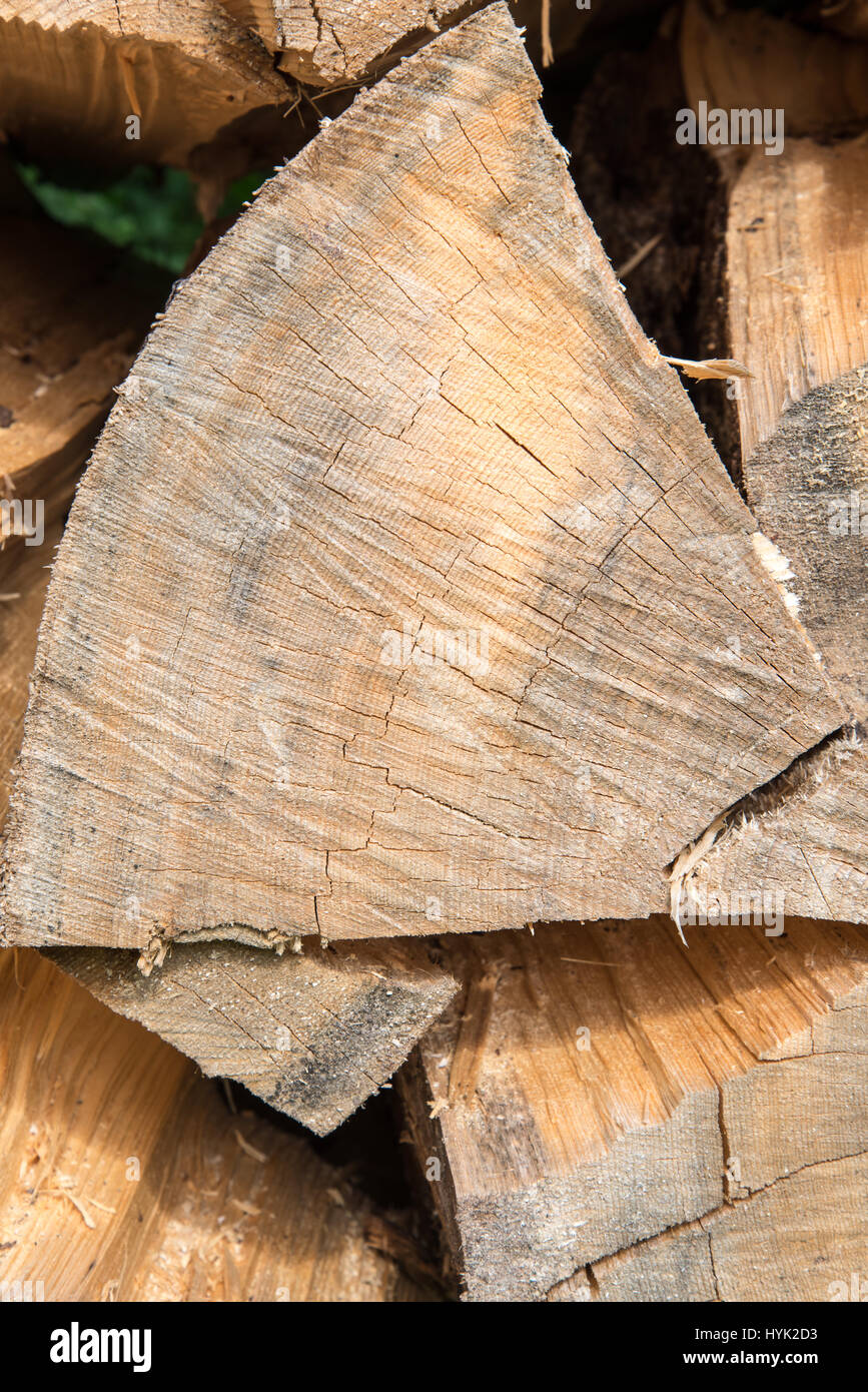 stacked firewood of spruce in the forest Stock Photo Alamy