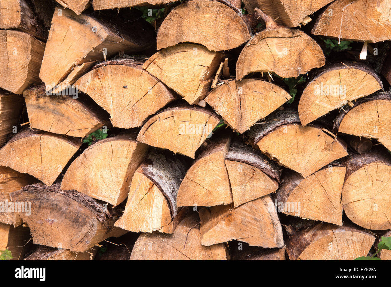 stacked firewood of spruce in the forest Stock Photo Alamy
