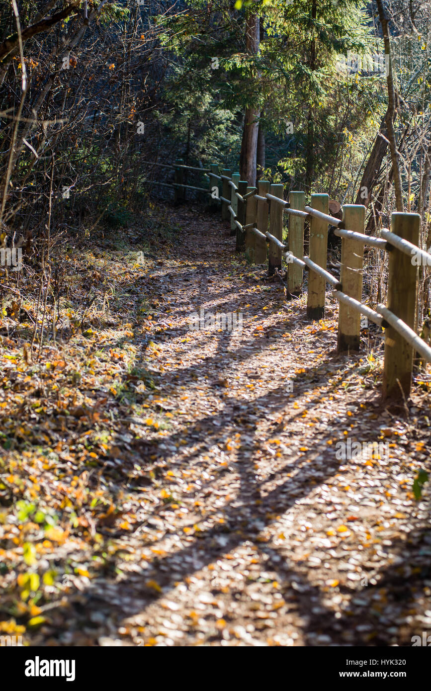 Fall Countryside Trail sunny tourist trail in the woods in autumn at the countryside Stock ...