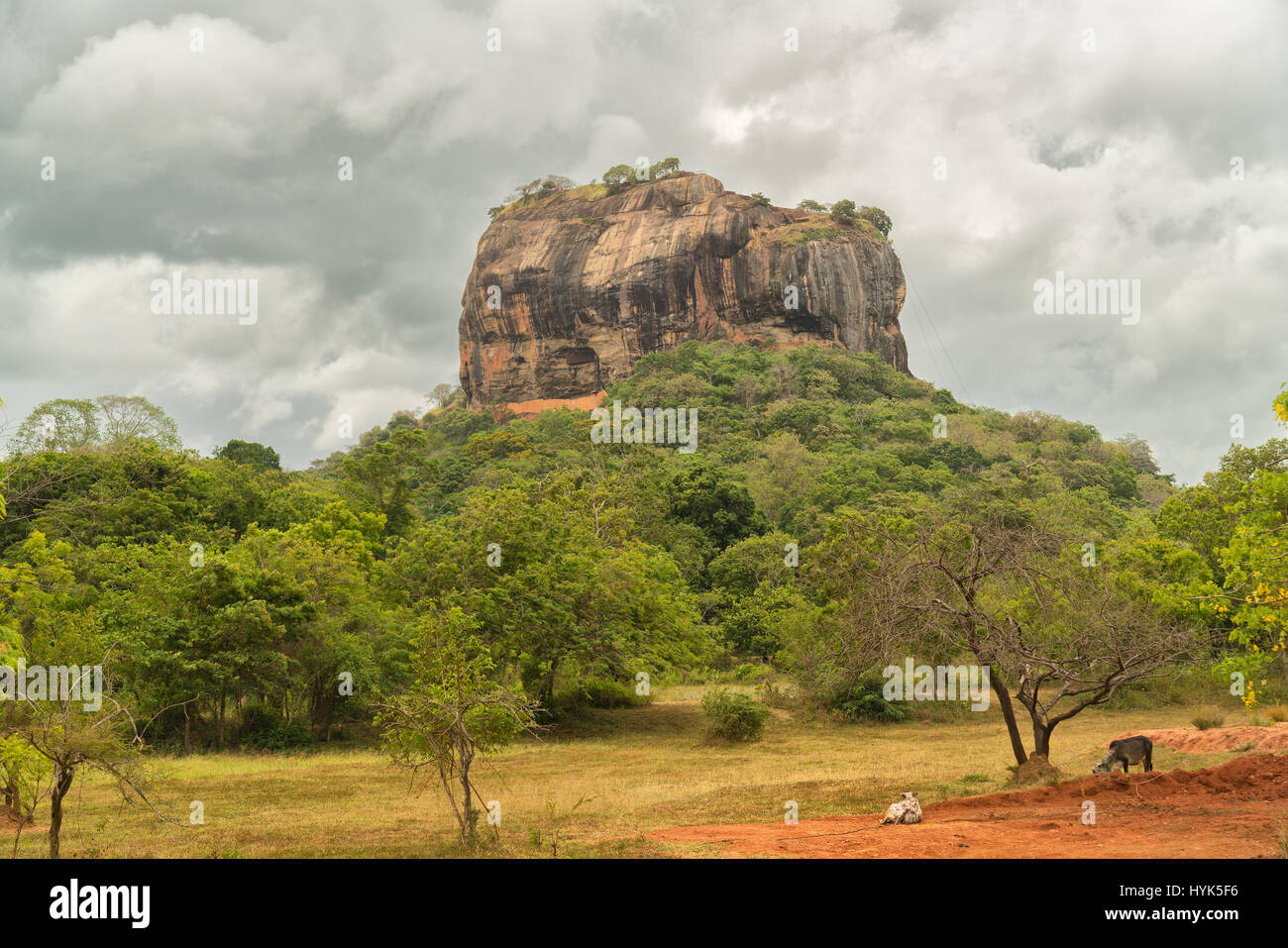 Sigiriya Rock Fortress rises straight out ot the jungle, cultural triangle, Sri Lanka, UNSCEO World Herritage Stock Photo