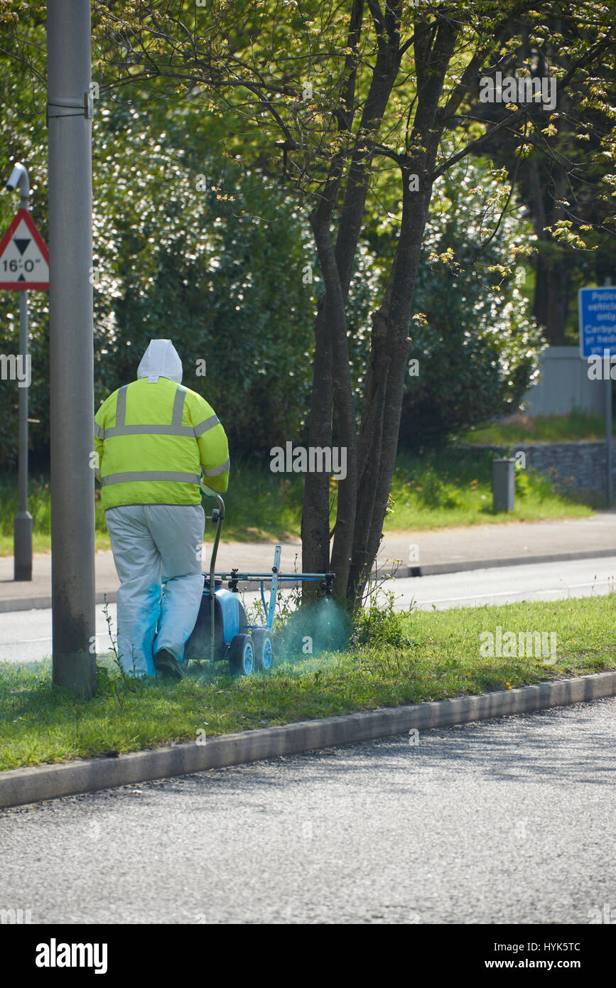 Pesticide being applied to the central reservation using a walkover sprayer at Fabian way Swansea. The application is being carried out to eradicate v Stock Photo